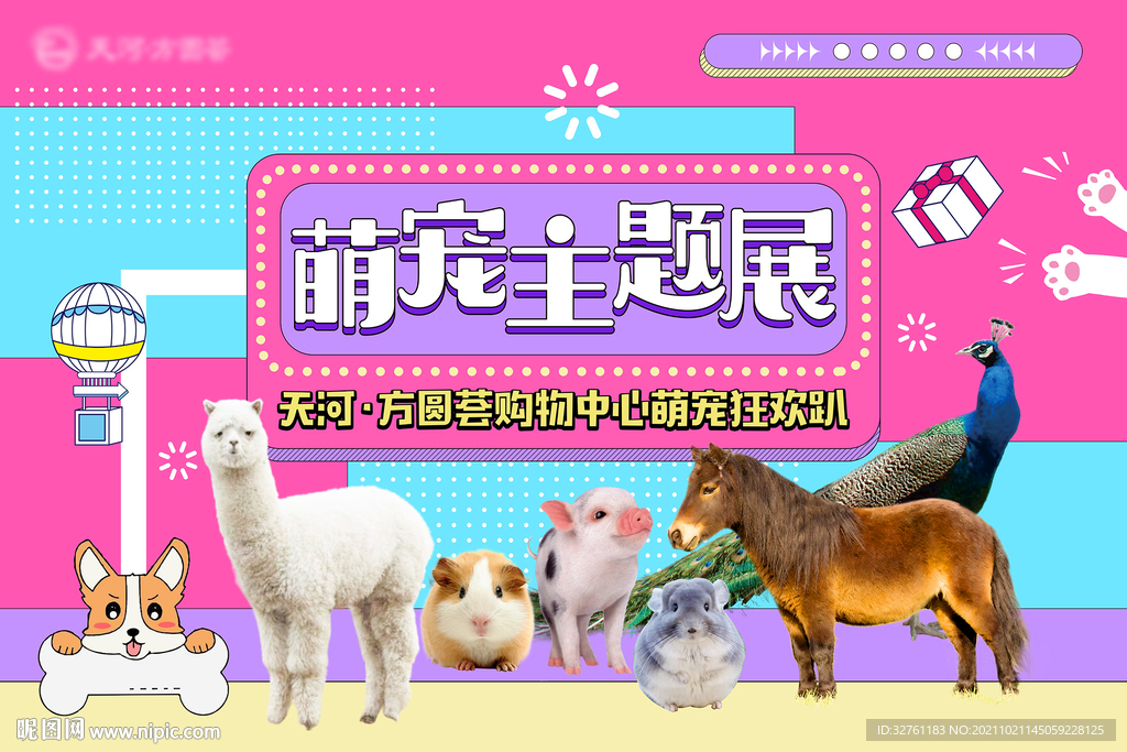 萌宠活动 亲子活动 地产暖场