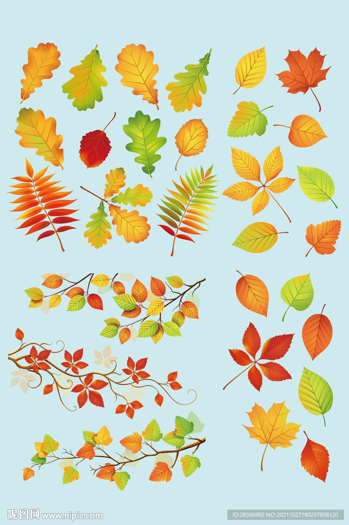 AI矢量树叶枫叶