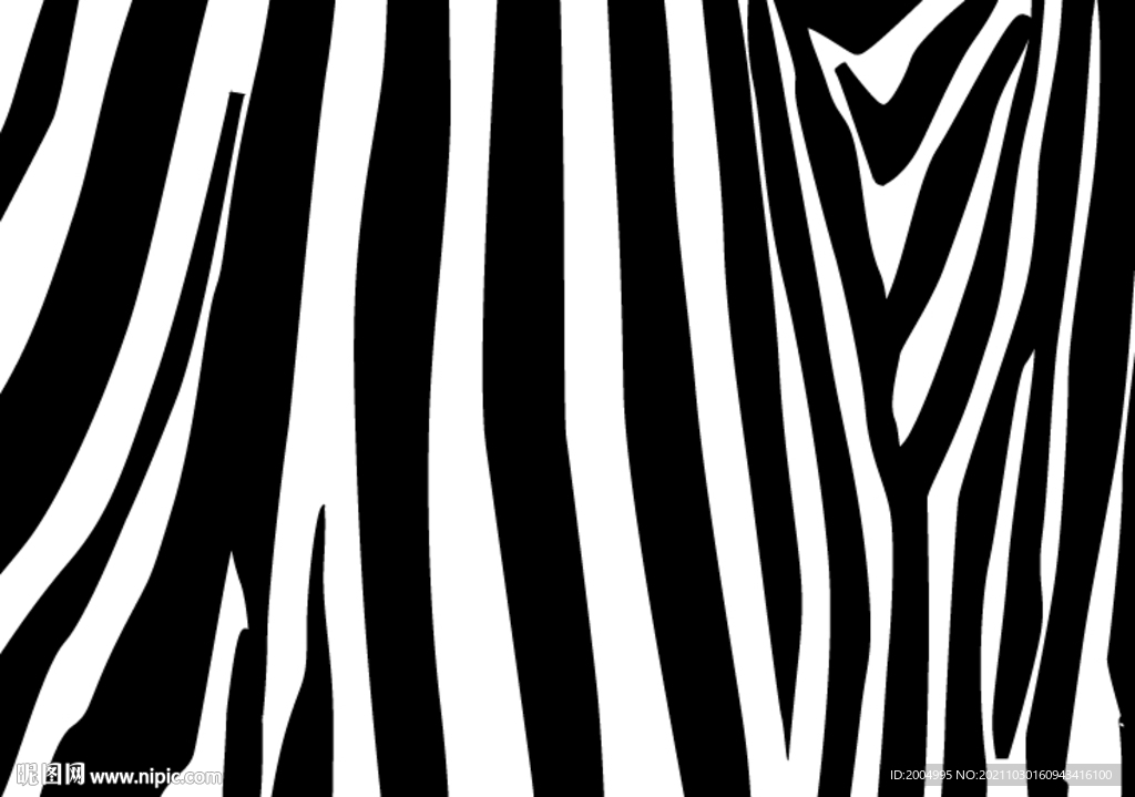 斑马纹理