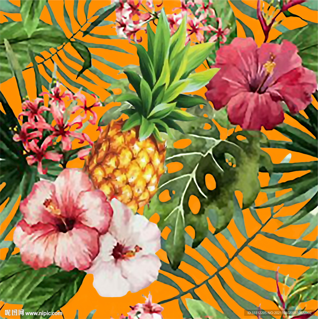 菠萝 水果 花卉 叶子    