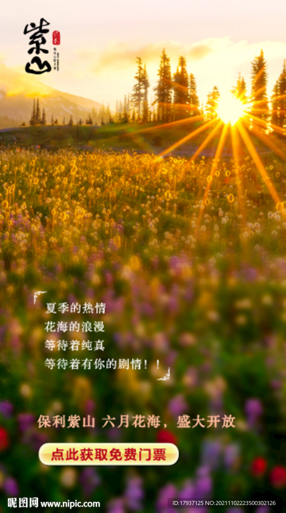 森林 花海 阳光 天空  微信