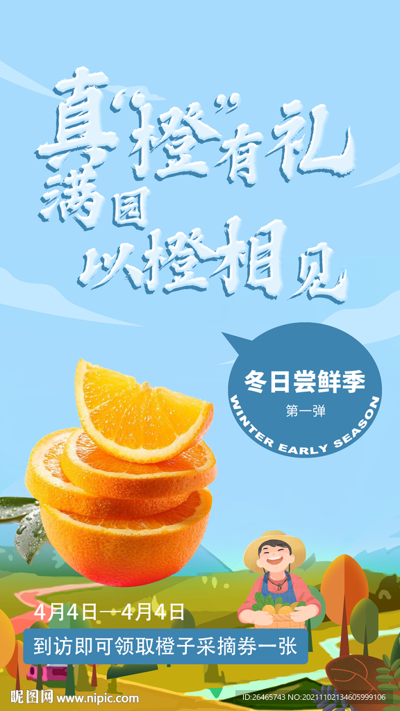 橙子海报 水果 果园
