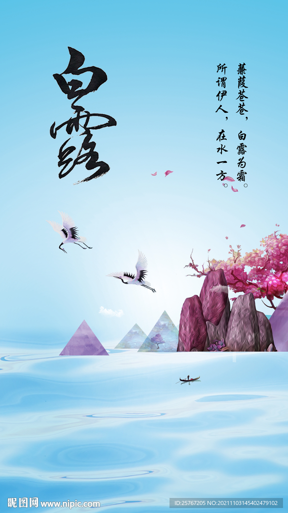 白露二十四节气节日海报新中式