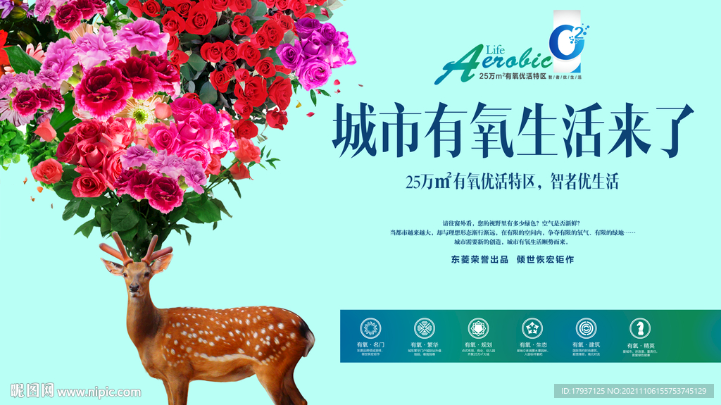 花 样板房开放 氧气 生态 动