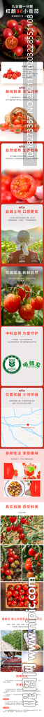小番茄详情页