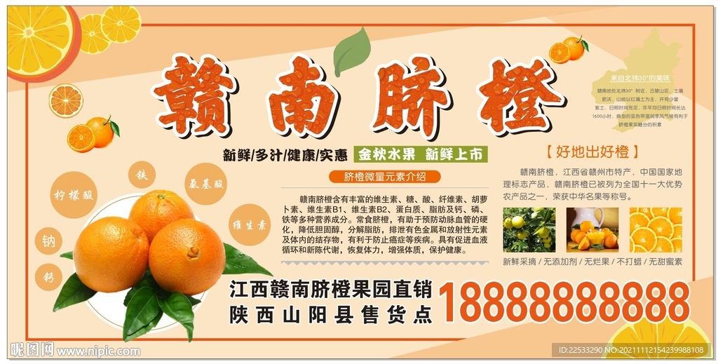 赣南脐橙海报