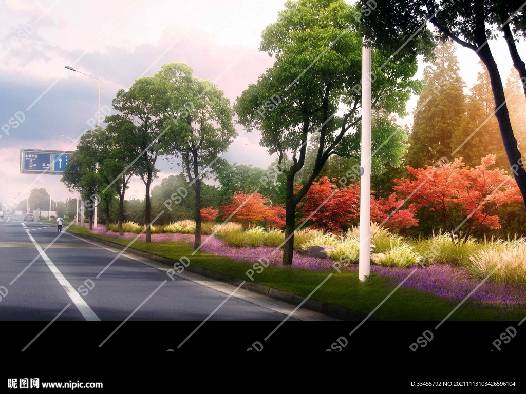 秋季花海芒草绿化设计