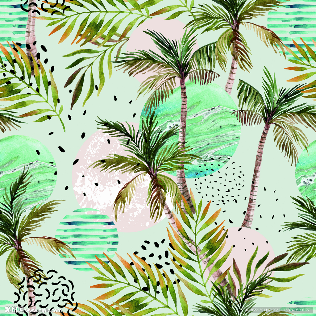 热带 植物 菠萝