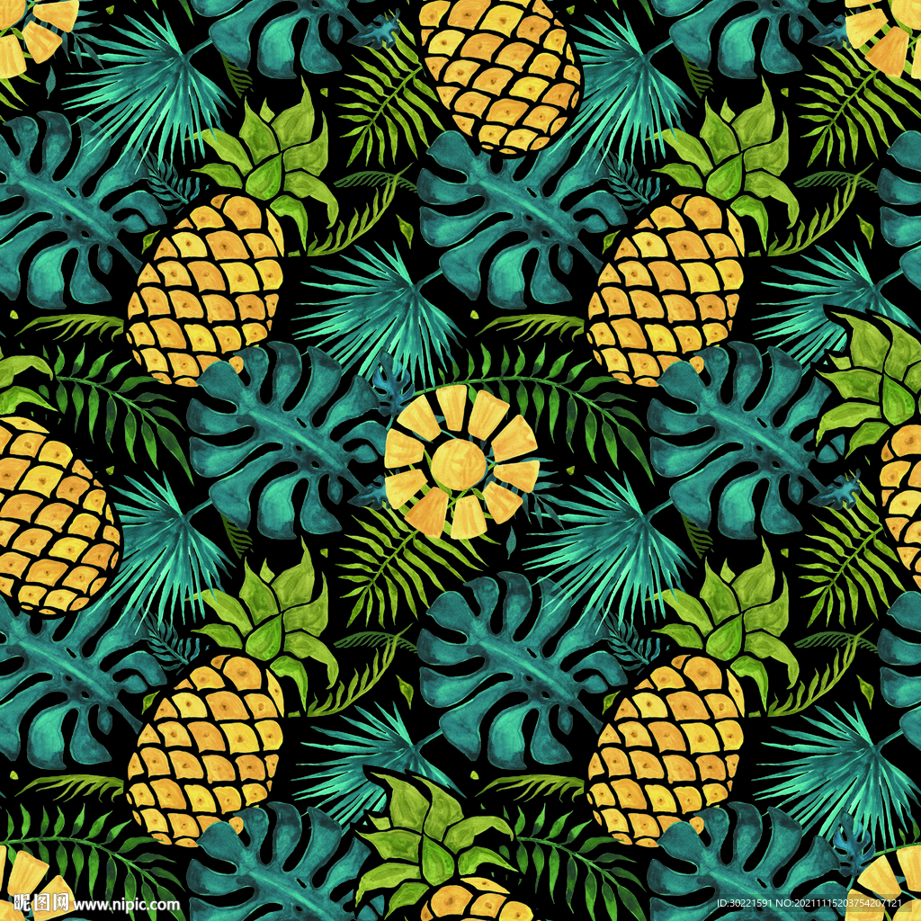 热带 植物 菠萝