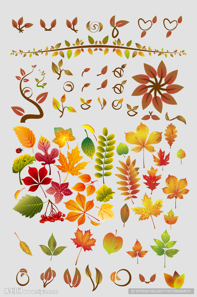 AI矢量枫叶树叶