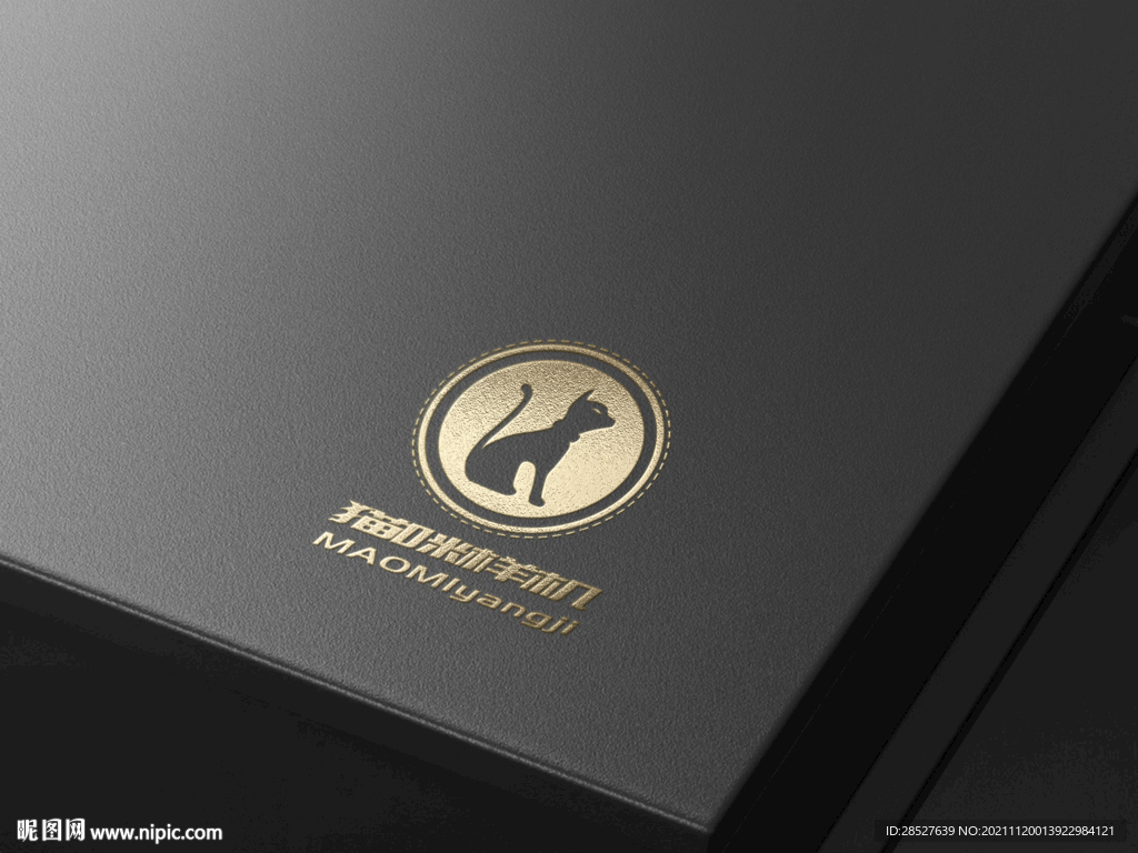 品牌logo烫金银皮革样机