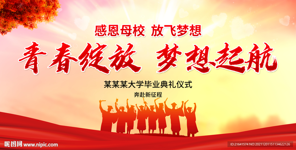 青春绽放 梦想起航