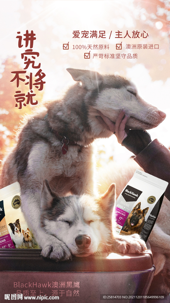 宠物粮海报
