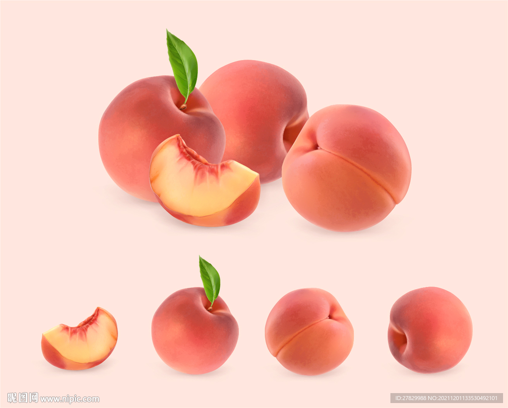 矢量水果桃子