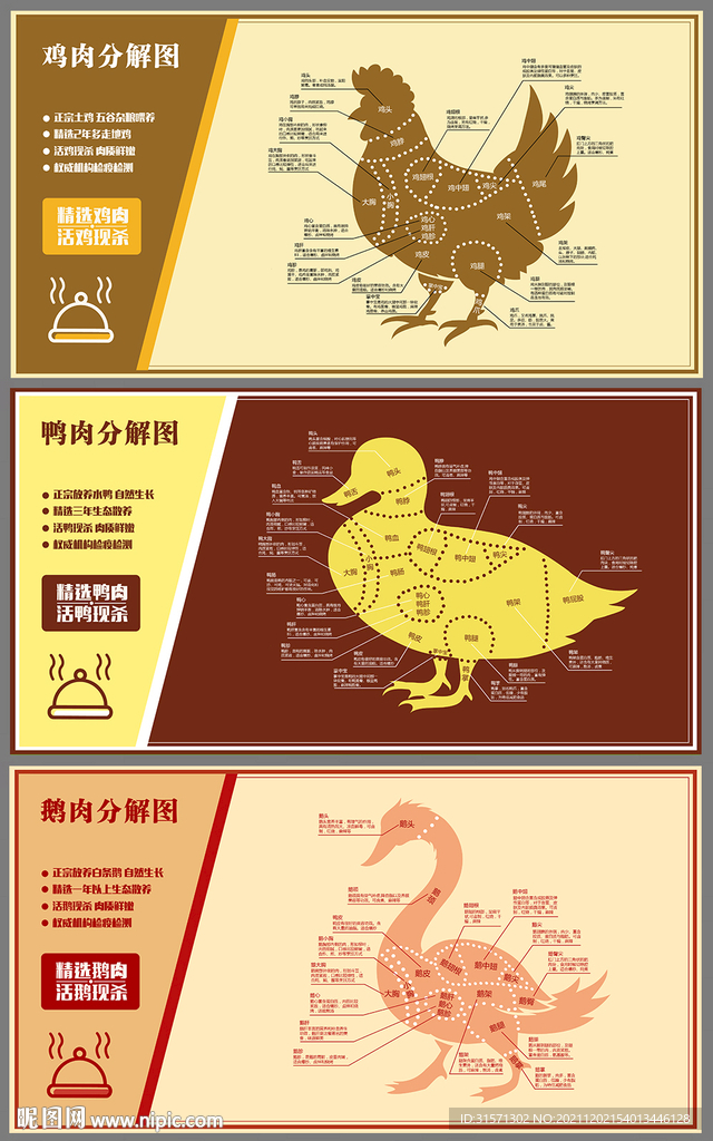 鸡鸭鹅肉分解图