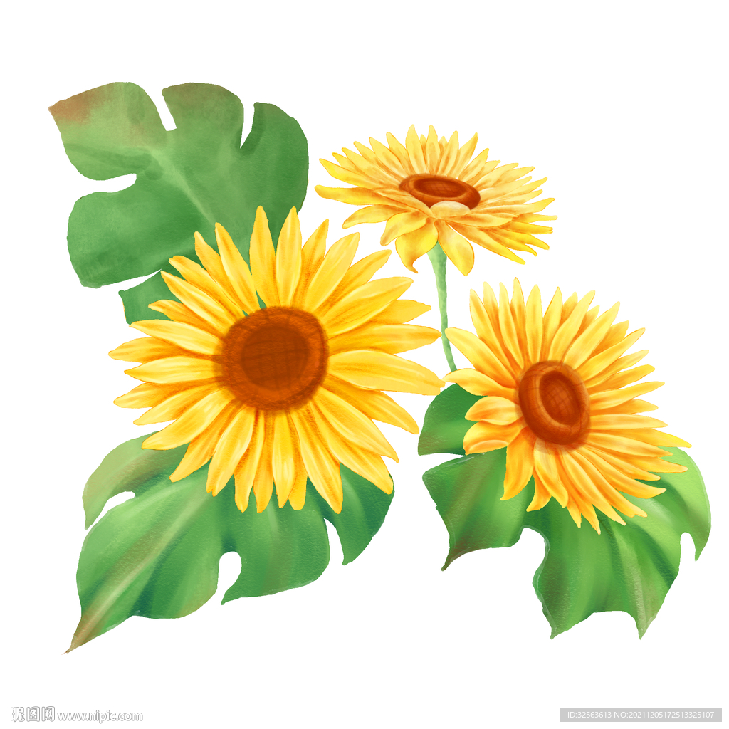 手绘水彩风向日葵
