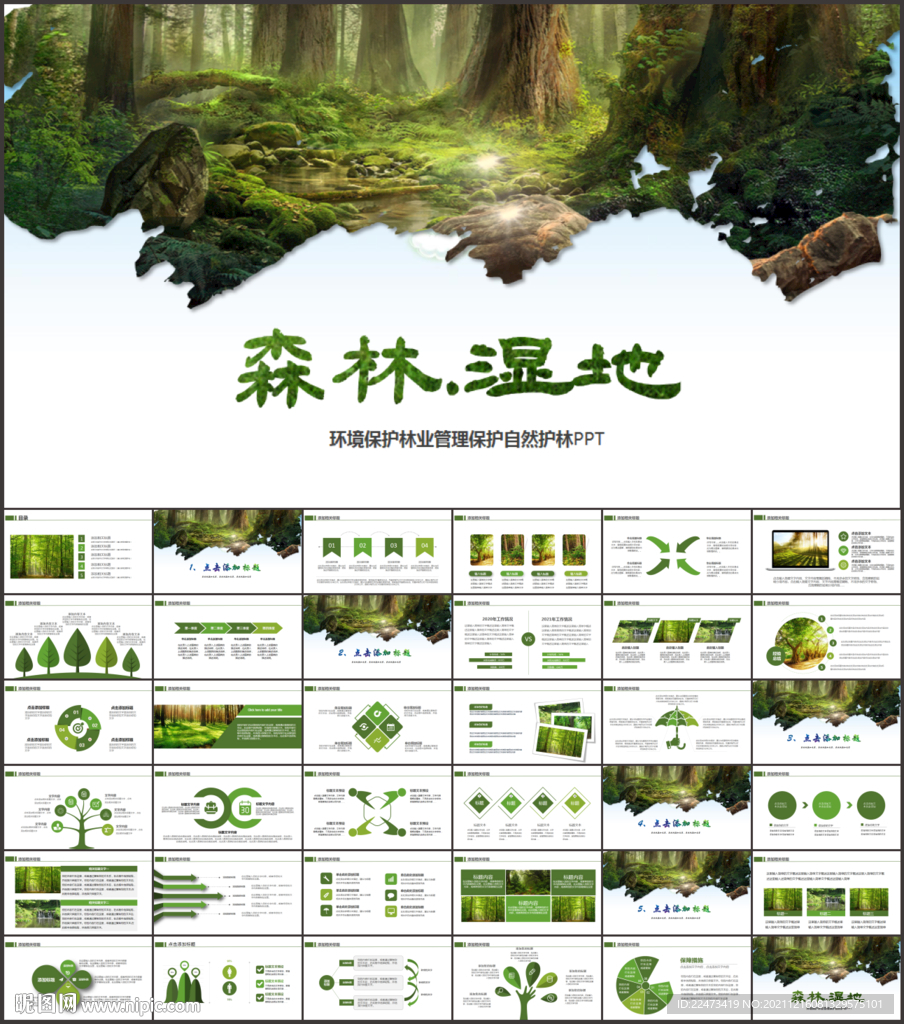 环保森林湿地环境保护生态PPT