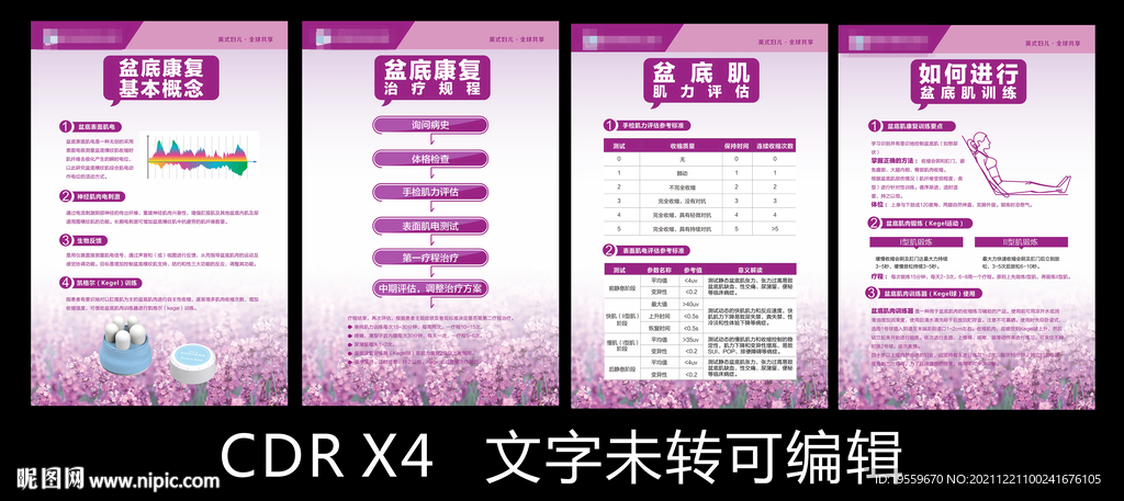 盆底康复基本概念和治疗规程