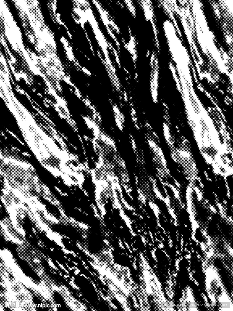 大牌  斑马纹   数码印花 