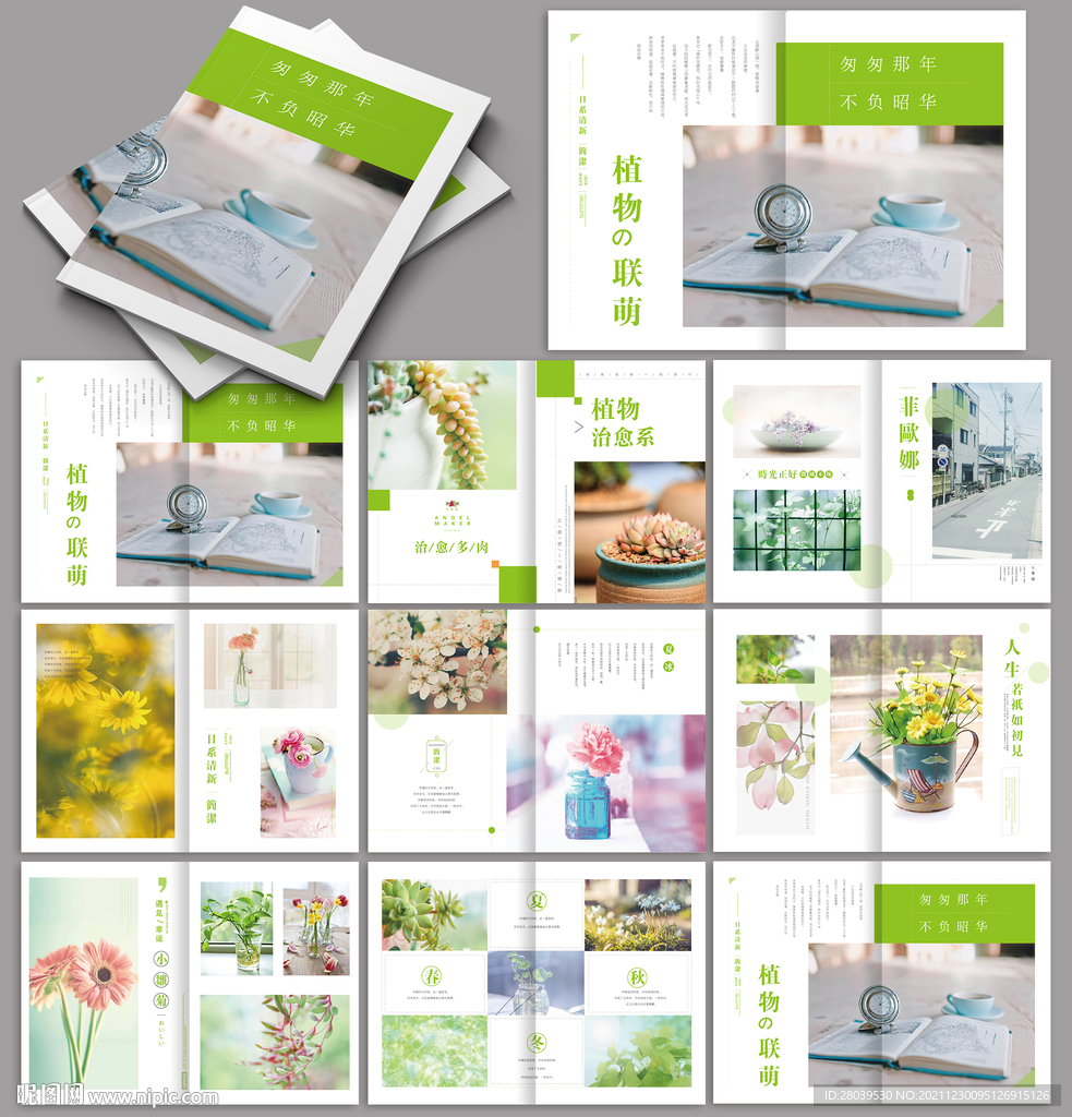 植物花卉画册