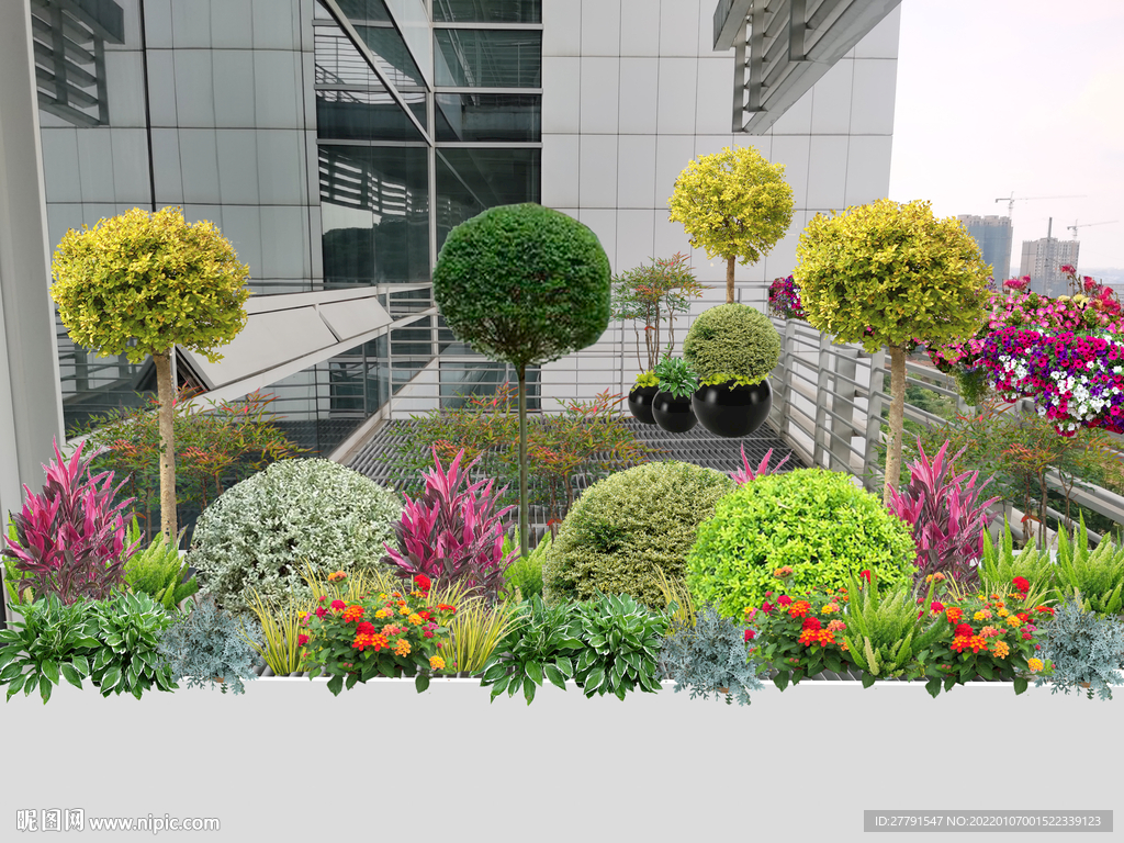 花境景观设计效果图