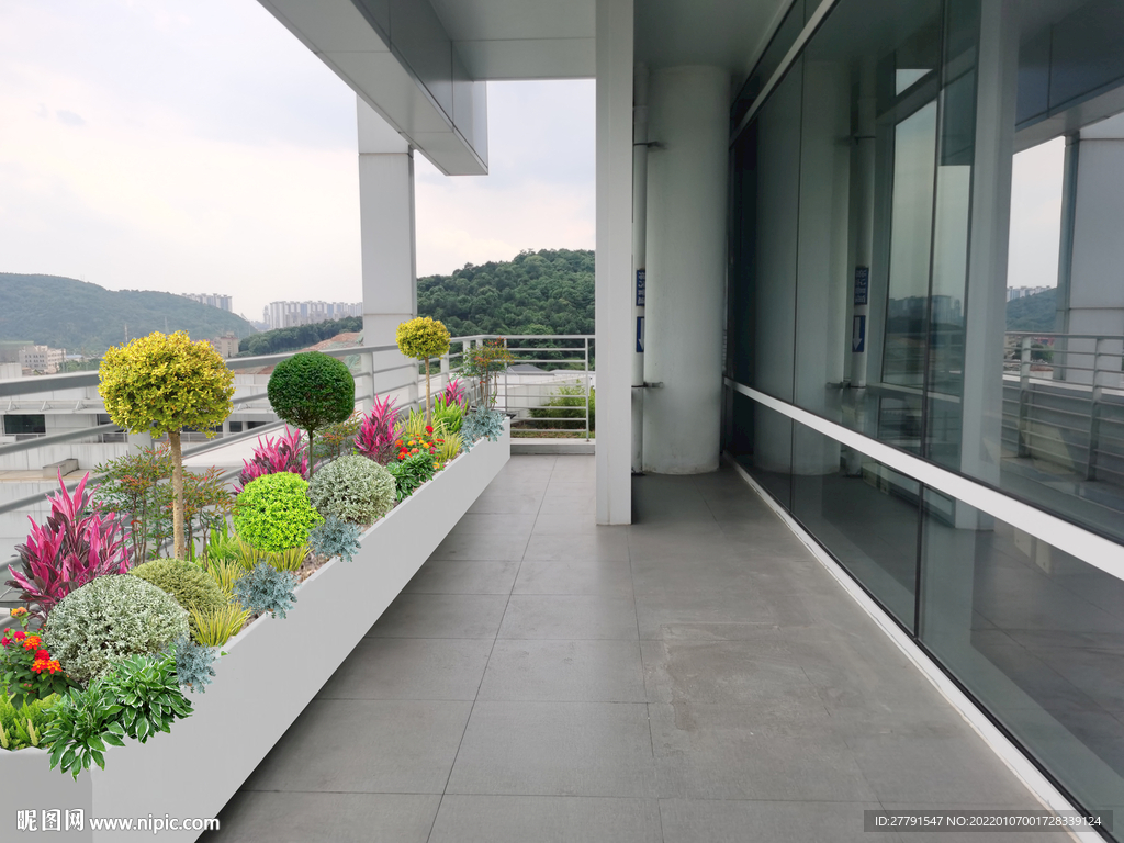 花境景观设计效果图