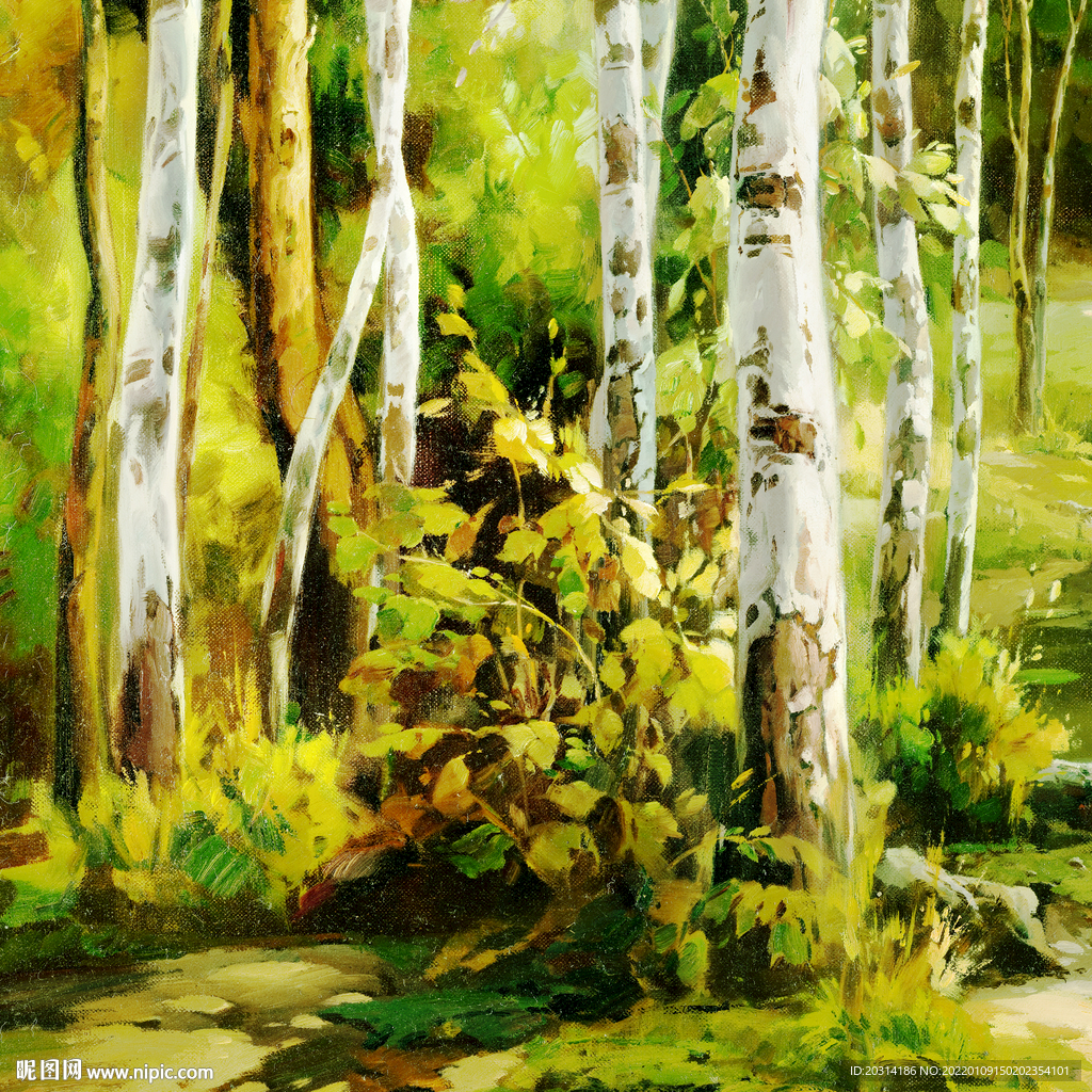 白桦树风景油画