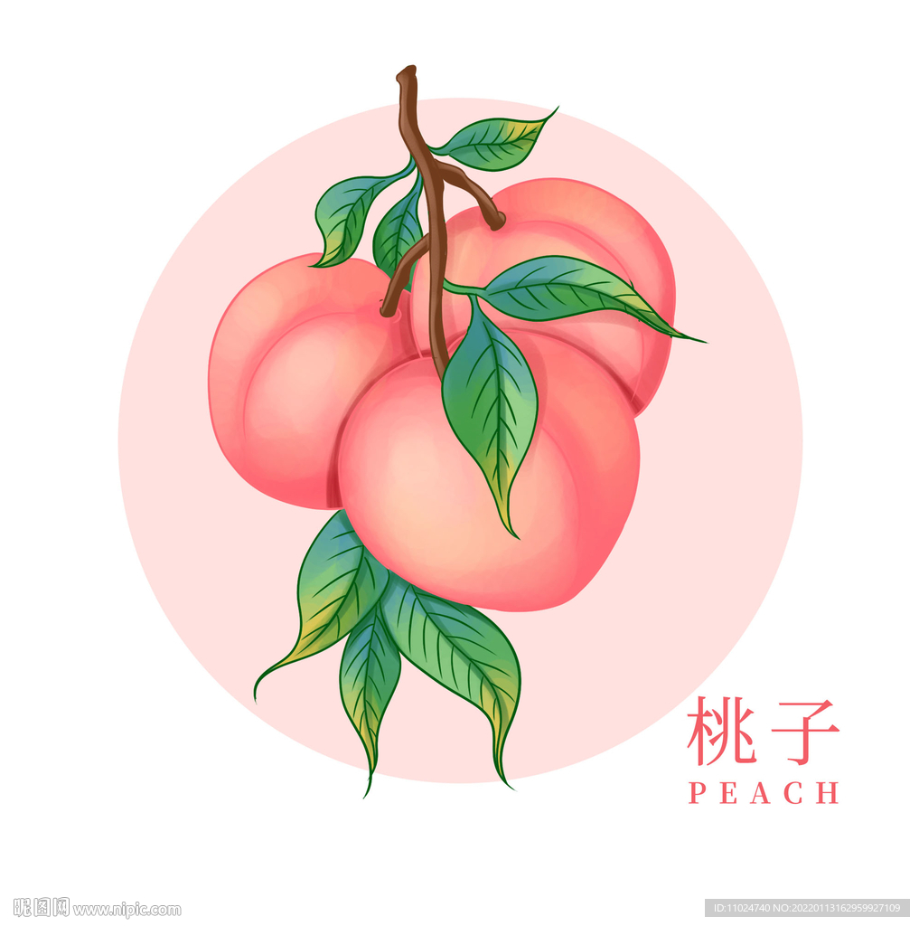 手绘桃子插画包装
