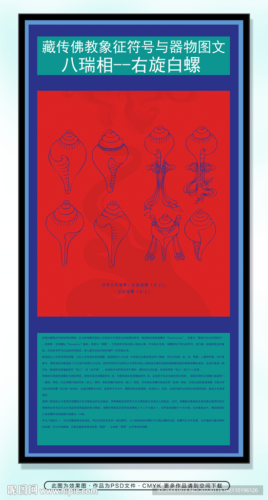 藏族文化八瑞相右旋白螺