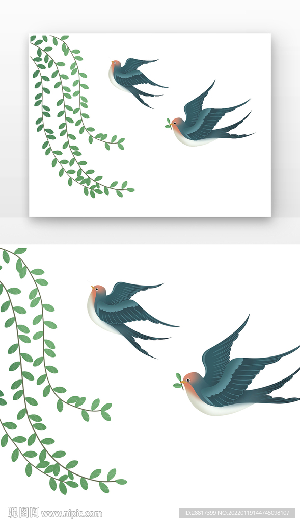 春天立春燕子树枝柳树春分插画