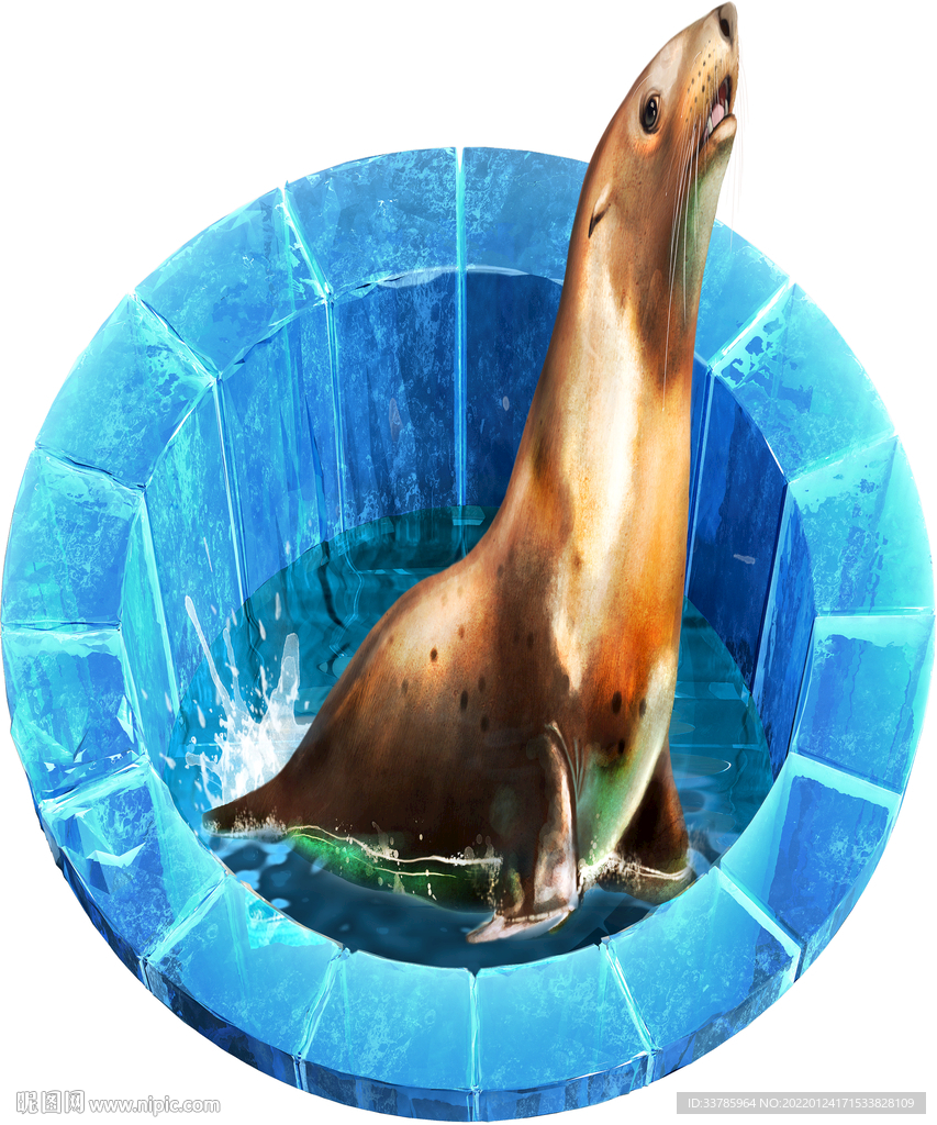 3D立体地贴海豹