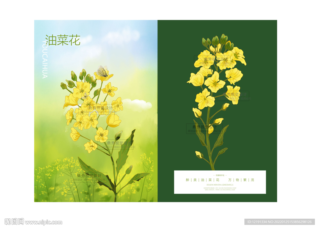 卡通手绘金色油菜花