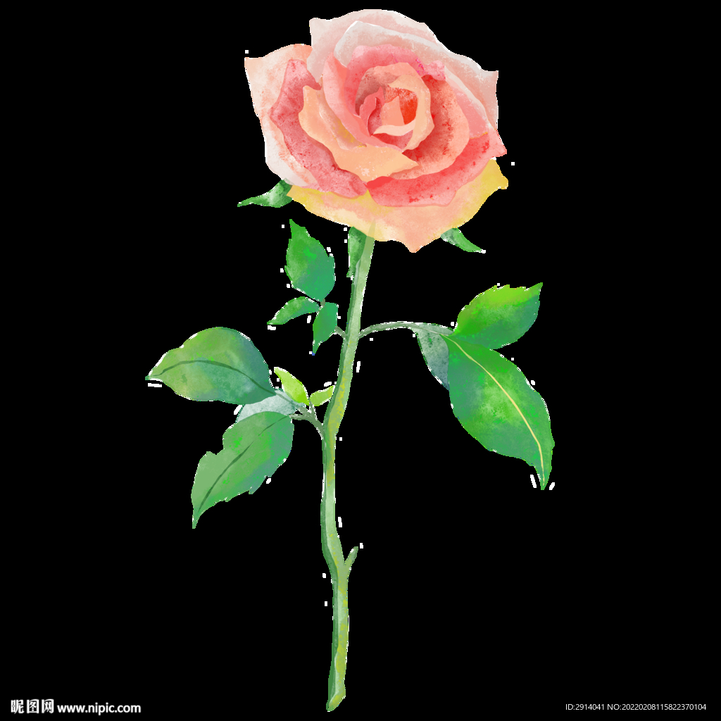 水彩手绘玫瑰花素材