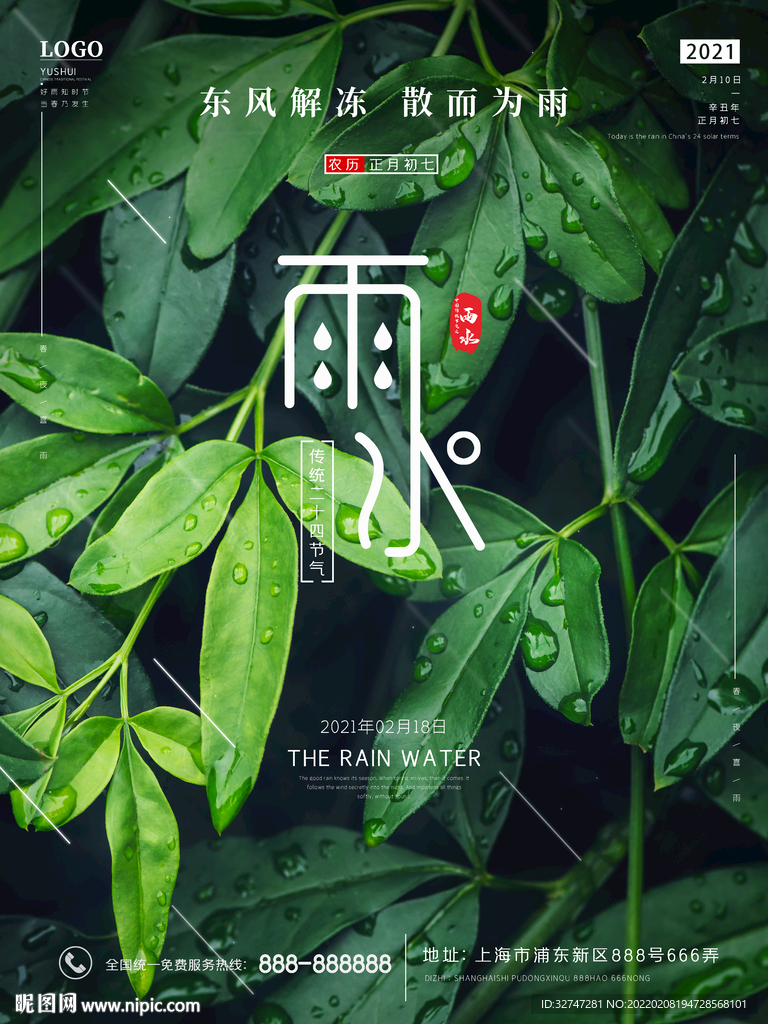 雨水二十四节气绿叶清新海报
