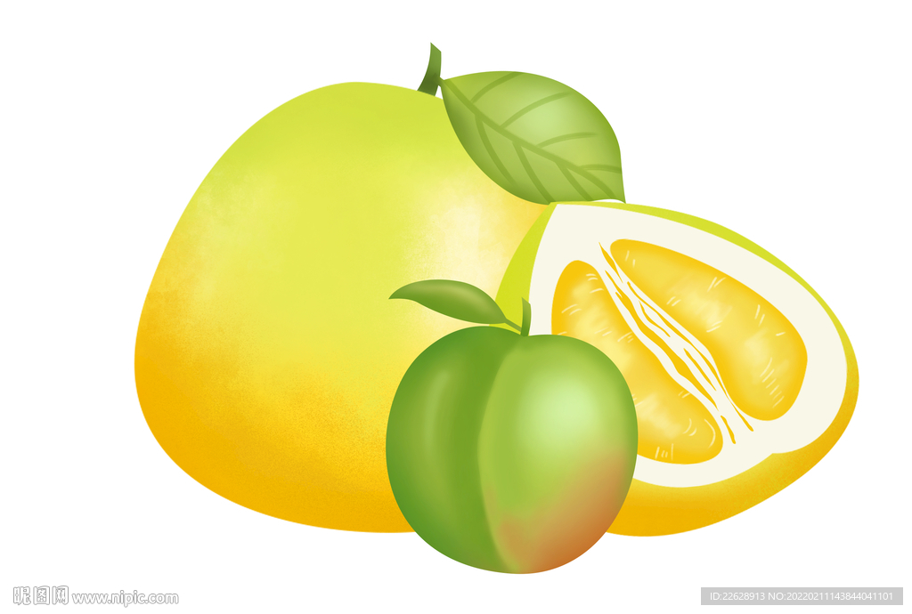 柚子 青梅手绘素材