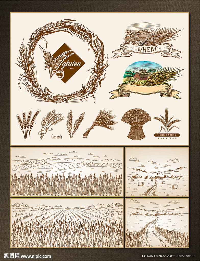 矢量手绘麦穗与麦田