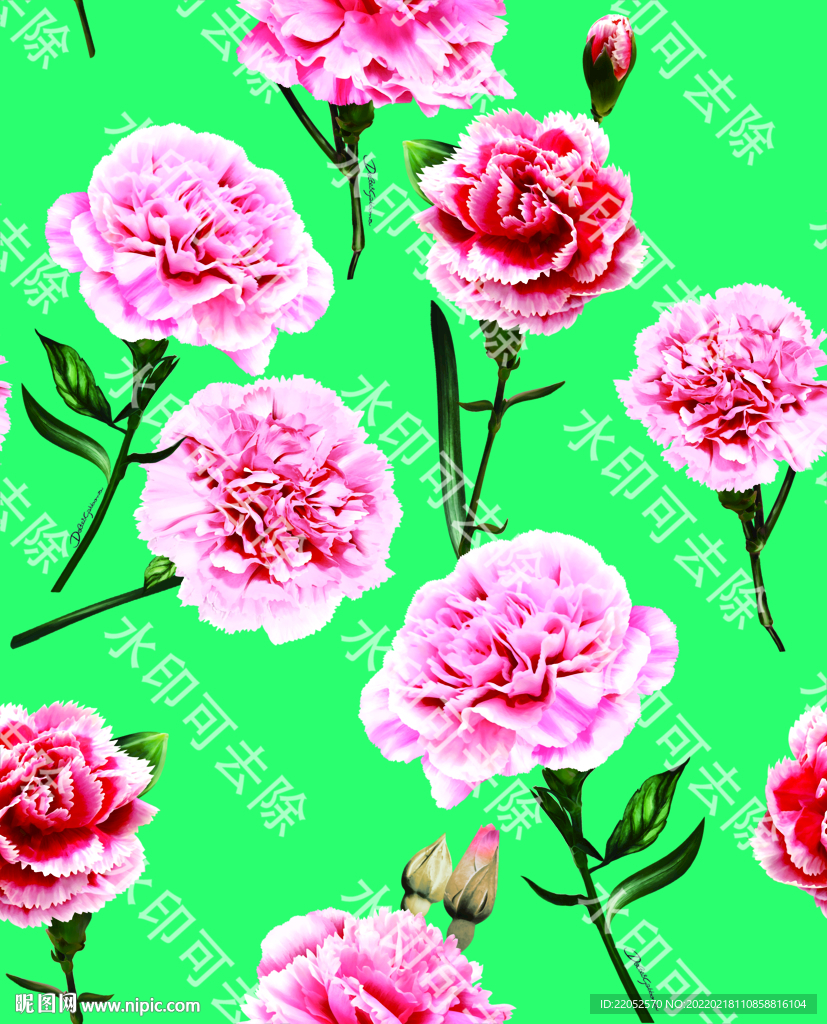 康乃馨  玫瑰花  手绘花  