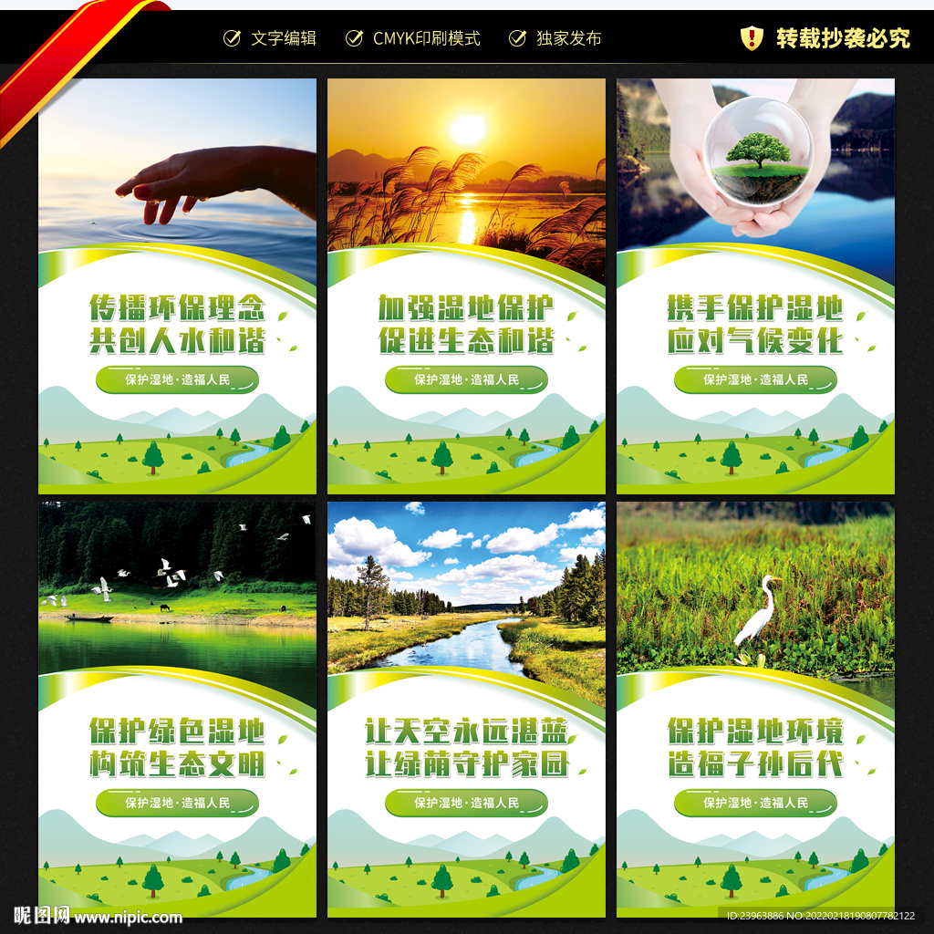 湿地保护 宣传展板