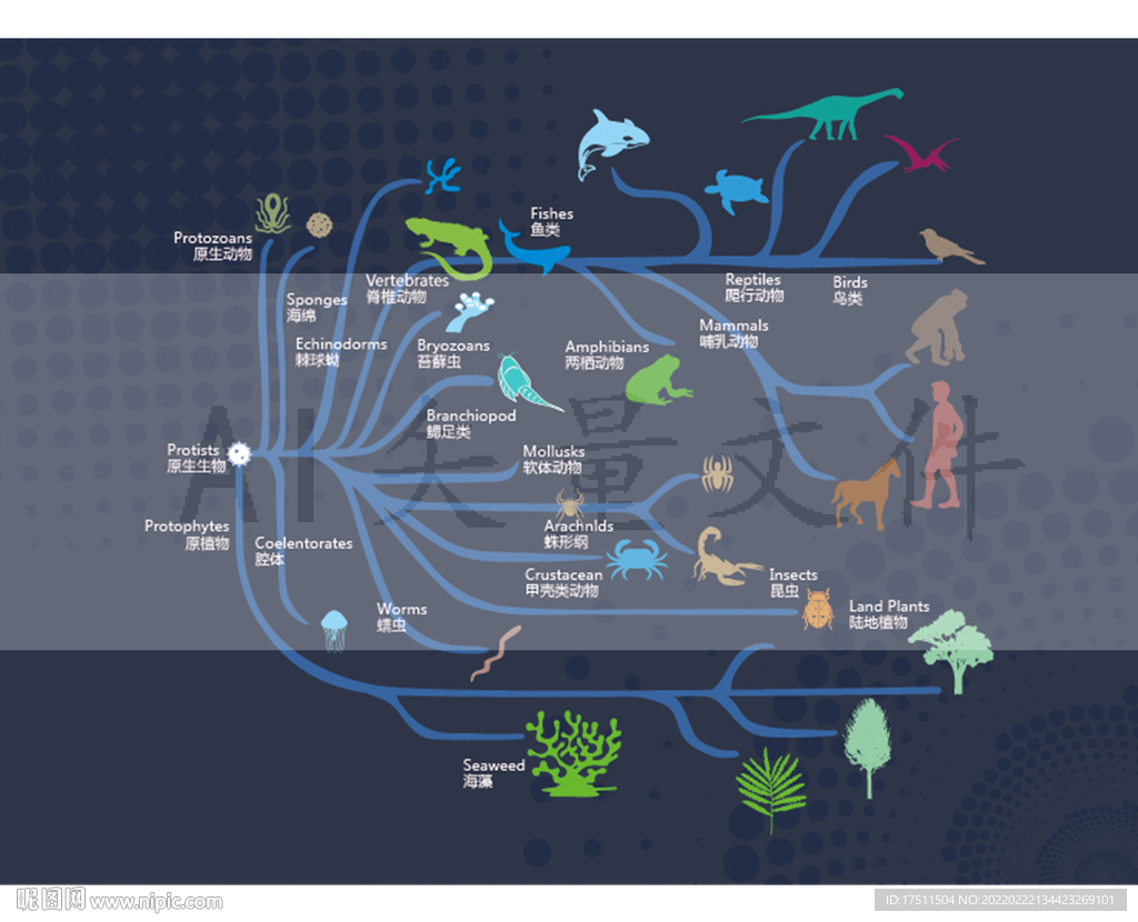 生命树生命的起源动物植物