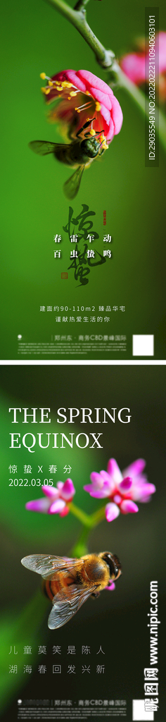地产惊蛰节气海报