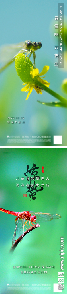 地产惊蛰节气系列海报