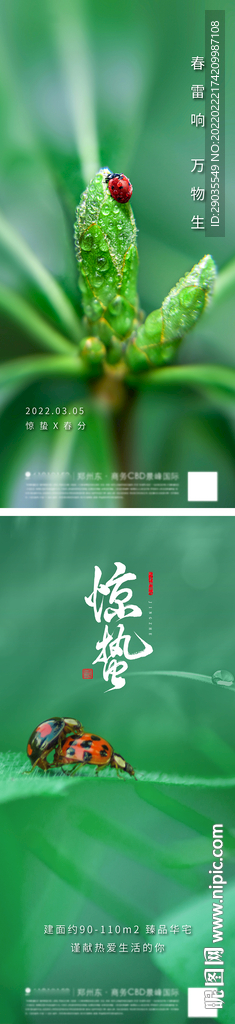 惊蛰节气系列海报