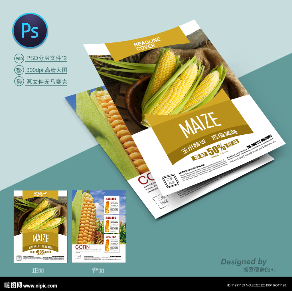 玉米种子宣传单