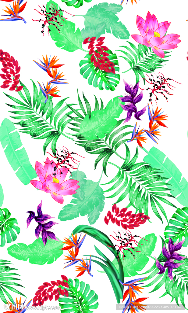 热带植物 棕榈叶