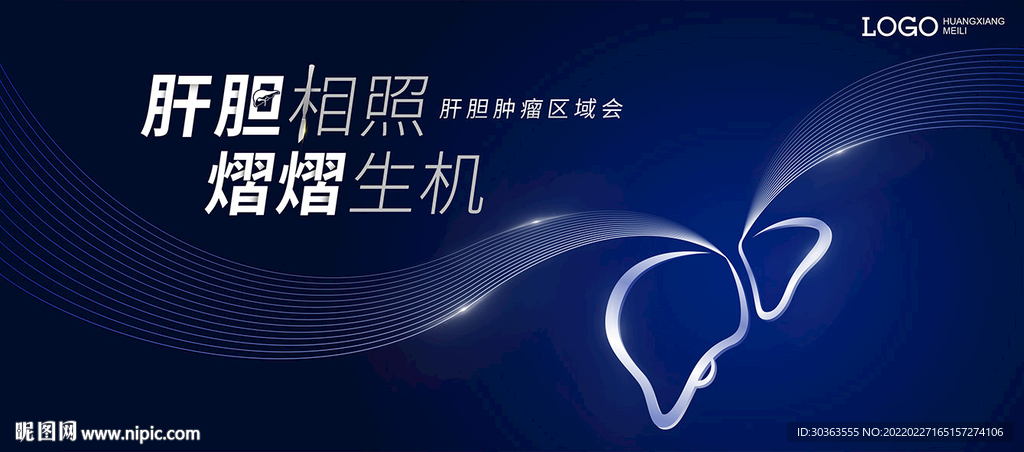 KV 肝脏 肝胆 生机