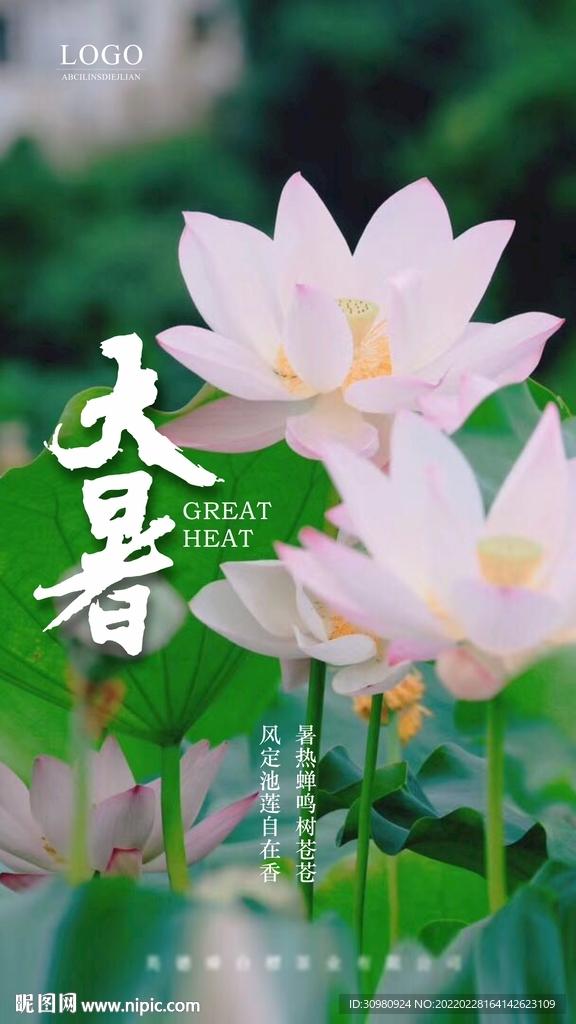 二十四节气大暑海报