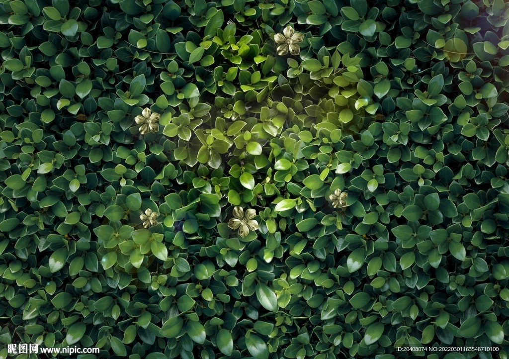 春天绿叶黄金金属花朵