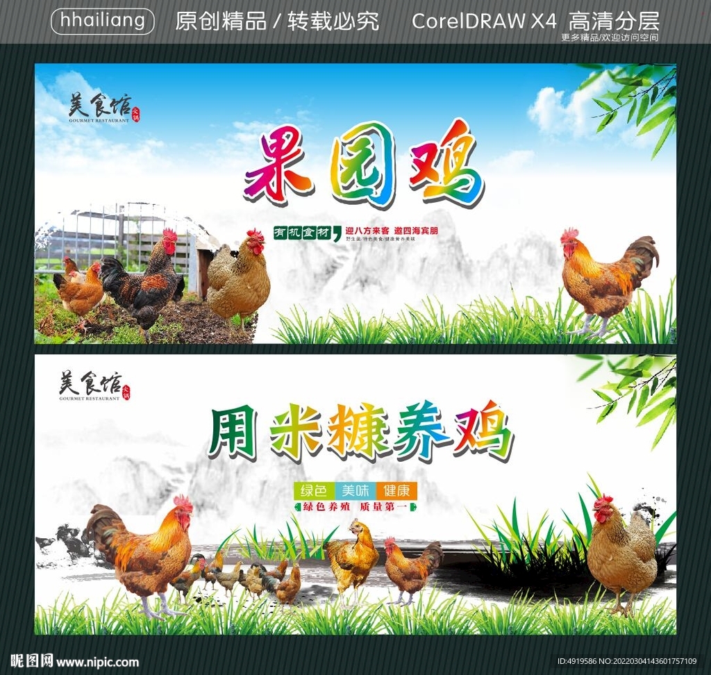 用米糠养鸡 果园鸡 