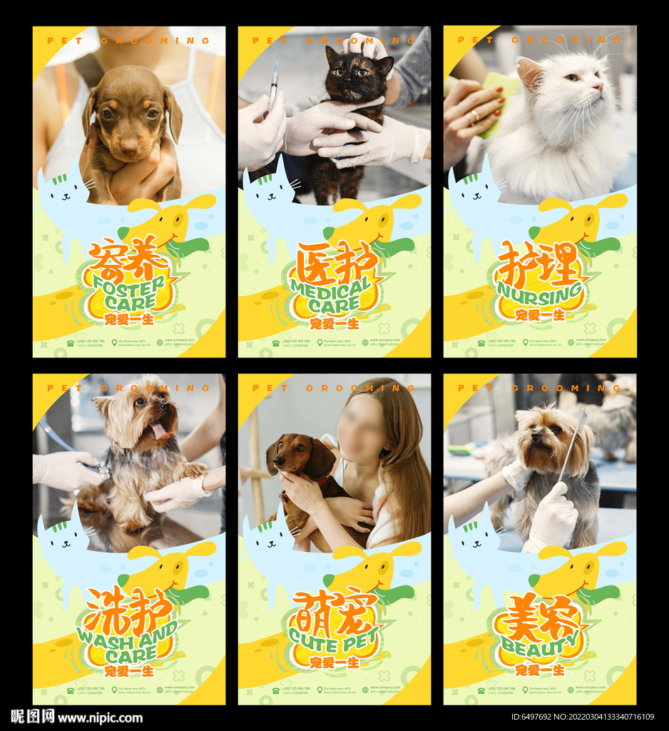 宠物美容海报图片