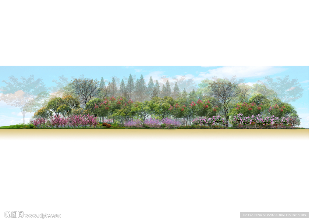 道路市政绿化景观立面图林冠线